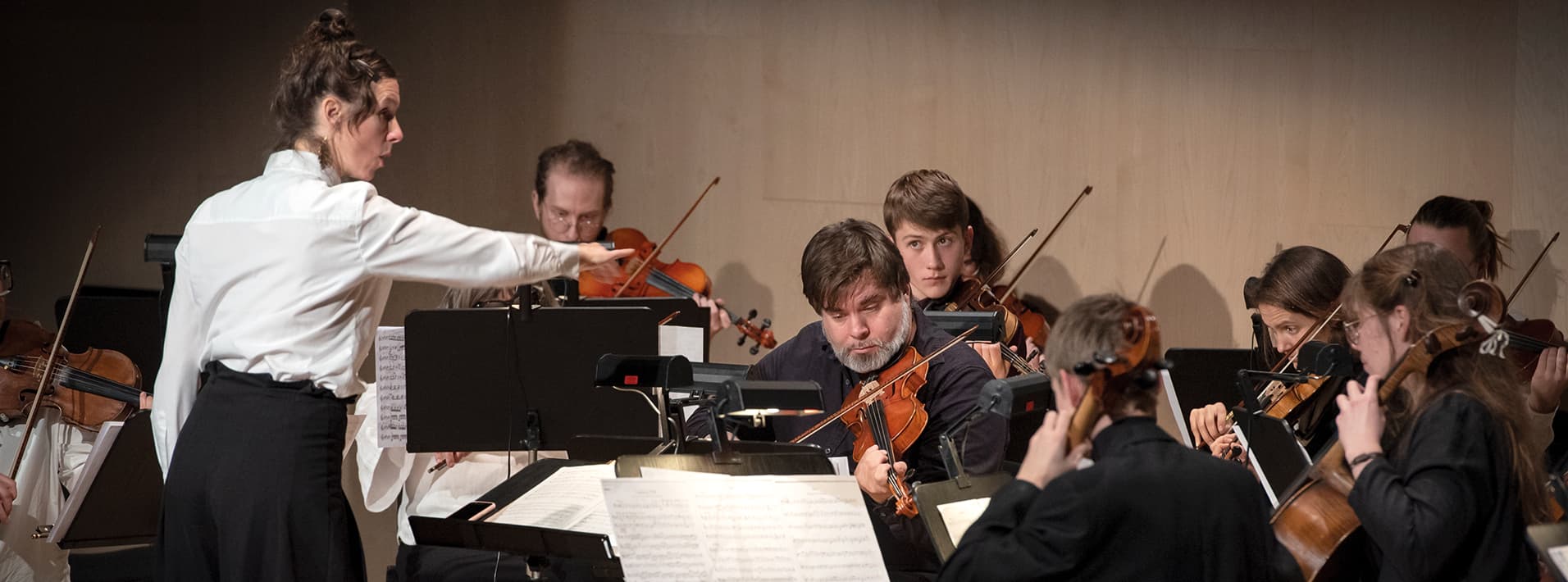 Konsert med Gotlands Sinfonietta